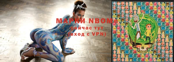 молекула духа Няндома