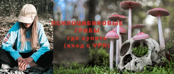 мяу мяу мука Балабаново
