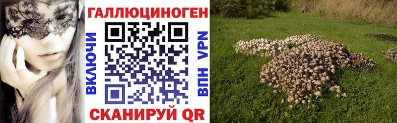 ОМГ ОМГ зеркало  Губкинский  Псилоцибиновые грибы Cubensis 